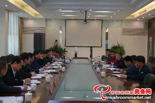 福建漳州市領導深入臺商投資區，全力推進食用菌工廠化生產與投資管理工作