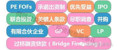 股權投資與投資管理 解讀現代資本運作的雙翼